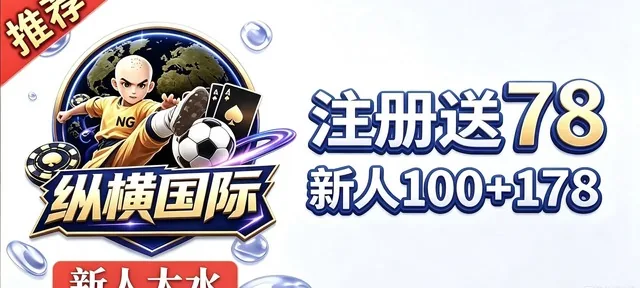 纵横国际